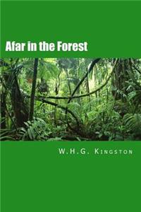 Afar in the Forest
