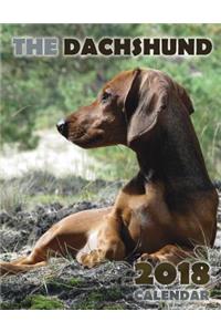 The Dachshund 2018 Calendar