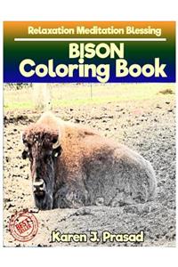 BISON Coloring book for Adults Relaxation Meditation Blessing