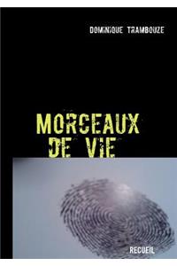 Morceaux de vie