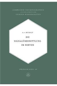 Die Signalübermittlung im Nerven