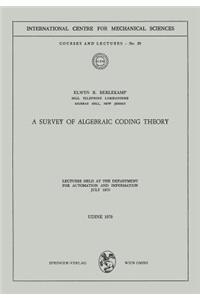 Survey of Algebraic Coding Theory
