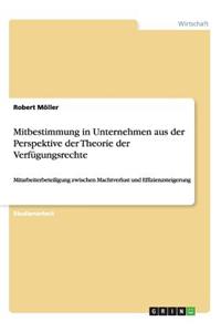 Mitbestimmung in Unternehmen aus der Perspektive der Theorie der Verfügungsrechte