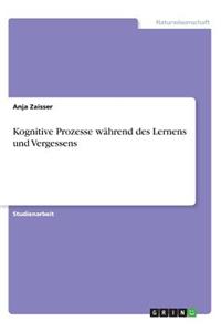Kognitive Prozesse während des Lernens und Vergessens