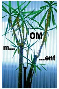 m...OM...ent