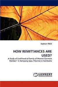 How Remittances Are Used?