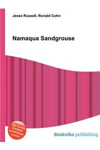 Namaqua Sandgrouse