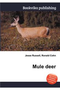 Mule Deer