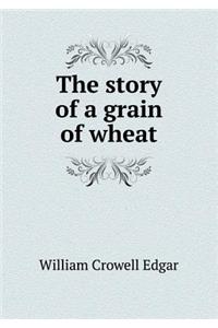The Story of a Grain of Wheat