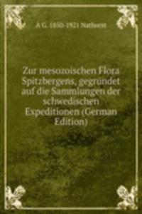 Zur Mesozoischen Flora Spitzbergens