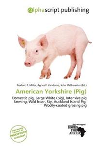 American Yorkshire (Pig)