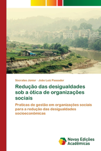 Redução das desigualdades sob a ótica de organizações sociais