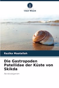 Gastropoden Patellidae der Küste von Skikda