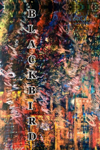Blackbird