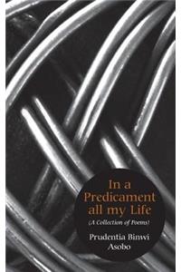 In A Predicament All My Life. A Collection of Poems