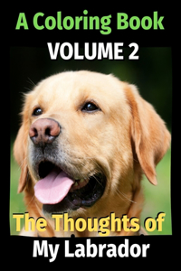 Thoughts of My Labrador