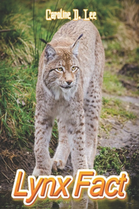 Lynx Fact