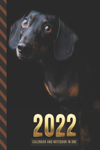 2022 Calendar and Notebook In One