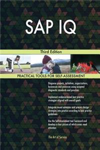 SAP IQ Third Edition