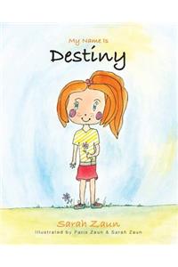 My Name Is Destiny