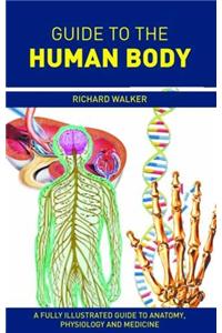 Guide To The Human Body