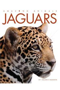 Jaguars