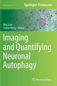 Imaging and Quantifying Neuronal Autophagy