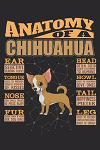 Anatomy Of A Chihuahua