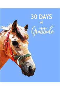 30 Days of Gratitude