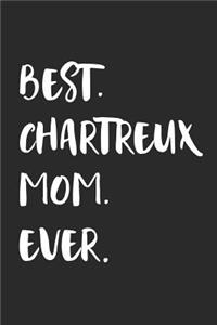 Best Chartreux Mom Ever