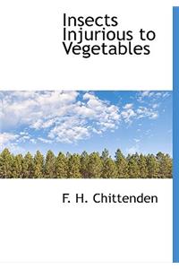 Insects Injurious to Vegetables