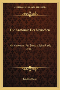 Die Anatomie Des Menschen