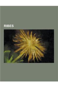 Ribes: Blackcurrant, Gooseberry, Jostaberry, List of Lepidoptera That Feed on Currants, Redcurrant, Ribes Alpinum, Ribes Amar