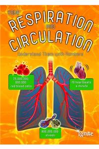 Your Respiration and Circulation