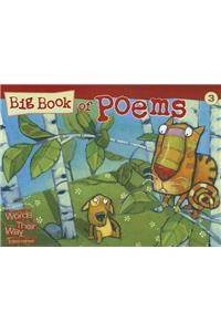 Big Book of Poems 3