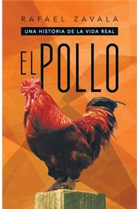 Pollo