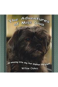 The Adventures of Miss Diva
