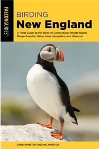 Birding New England