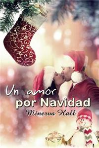Un amor por Navidad