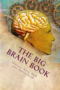 Big Brain Book