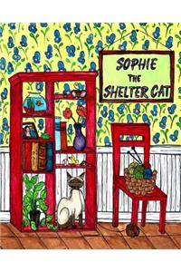 Sophie The Shelter Cat