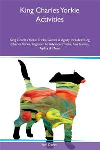 King Charles Yorkie Activities King Charles Yorkie Tricks, Games & Agility Includes
