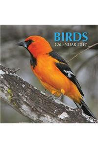 Birds Calendar 2017
