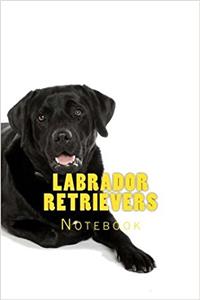 Labrador Retrievers