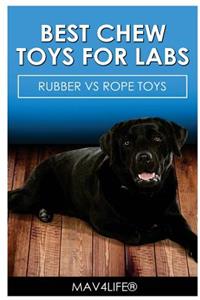 Best Chew Toys for Labs