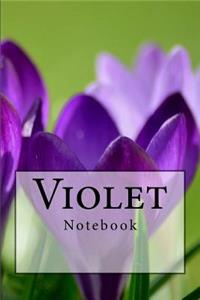 Violet Notebook