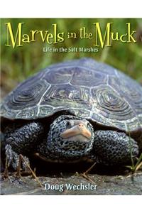 Marvels in the Muck