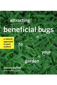 Attracting Beneficial Bugs to Your Garden