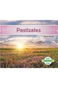 Pastizales (Grassland Biome) (Spanish Version)