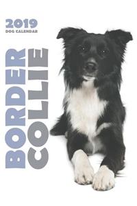 Border Collie 2019 Dog Calendar